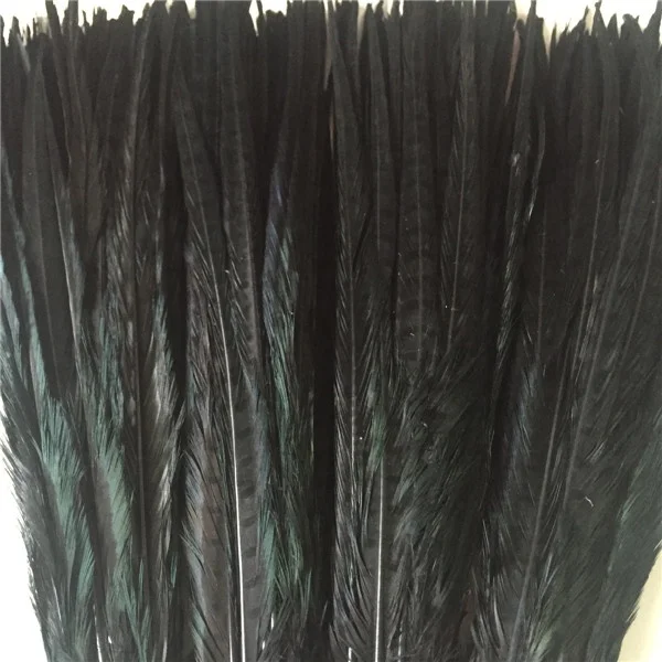 bleached and dyed 50-55cm ringneck pheasant tail feather