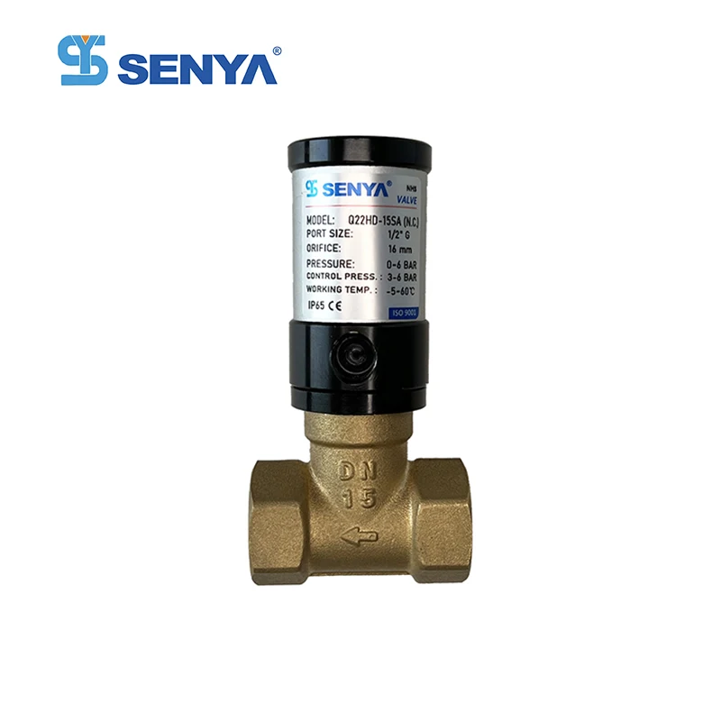 Q22HD Series Two Position Two Way Pneumatic Piston Air Control Solenoid Valves Fluid Air Control Pneumatic Valve