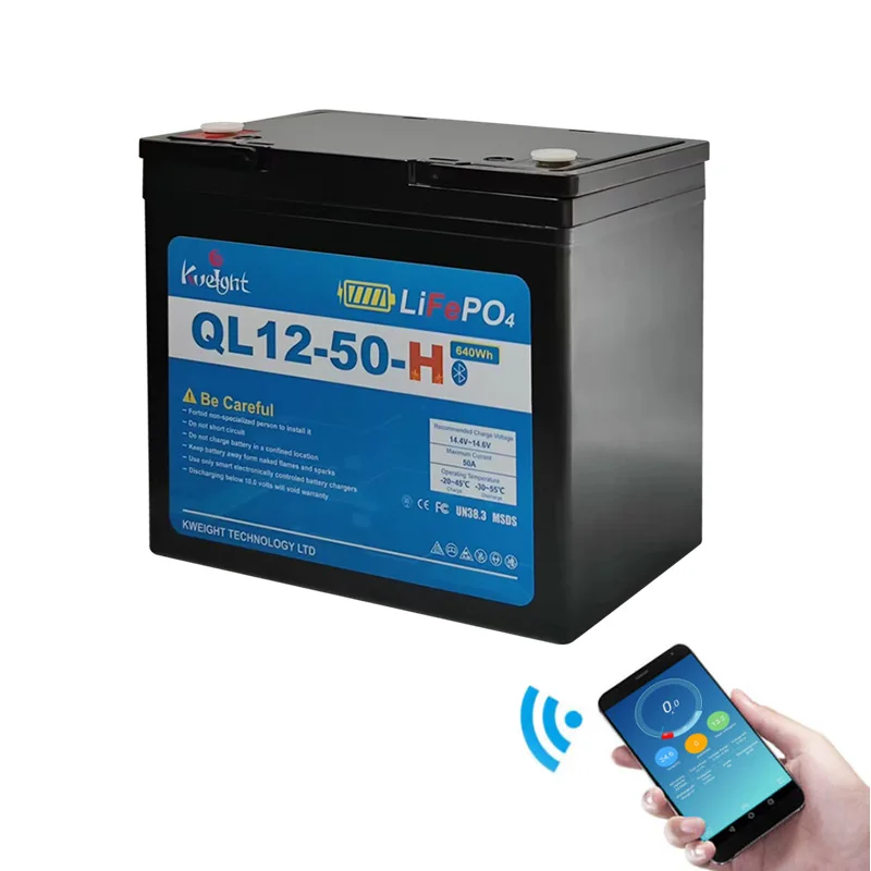 12V 50AH Iron Phosphate Battery 9AH 100AH 200AH Low temperature heating cell Lithium Pack batteries With Bluetooth