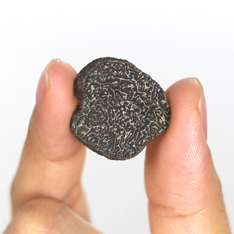 
black slice dried wild turffle Plastic truffle indonesia made in China 