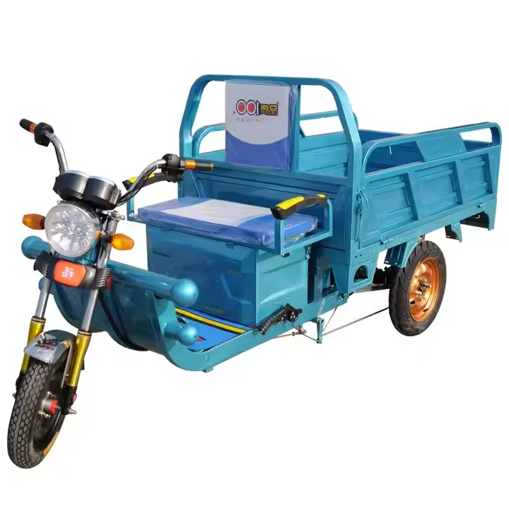 Heavy Carry Load 3 Wheels Electric Tricycle Cargo 1000W 60V 50km/h Cargo Motorcycle
