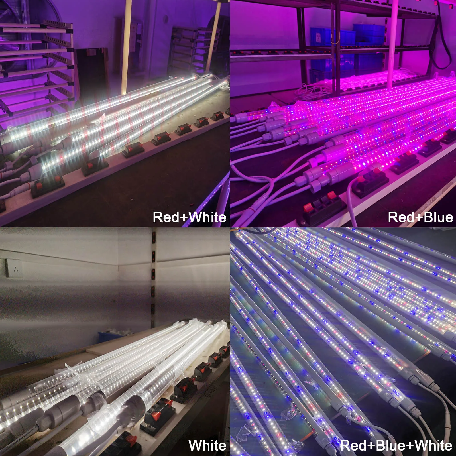 Liweida  t8 tube 60cm 24in plant grow light led light smd 2835 led chip full spectrum strips lettuce greenhouse indoor grow lamp