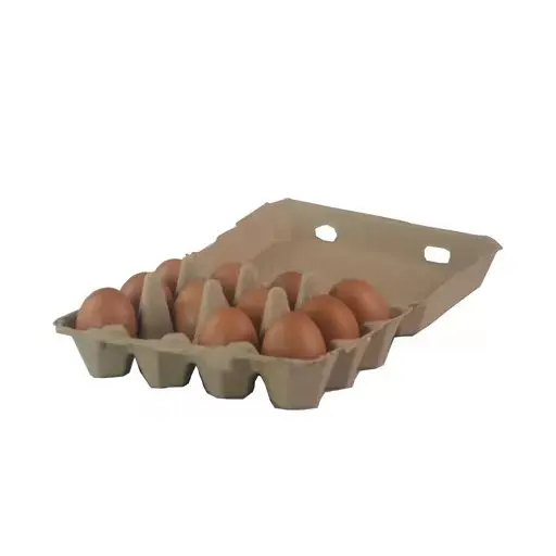 Dozen Egg Paper Pulp Boxes 12 Compartment Cartons Eco-friendly and Reusable Egg Trays With Intact Lids Free Range Egg Container