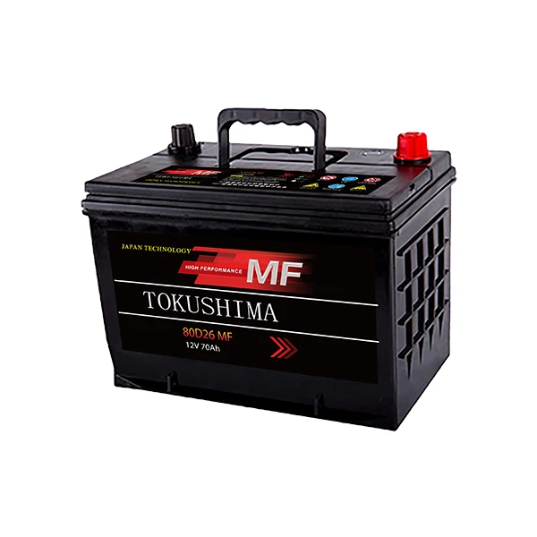 Efficient Lead Acid Battery Separator for Battery Production 12V 48V 20Ah  Battery for Electric Bikes and Scooters