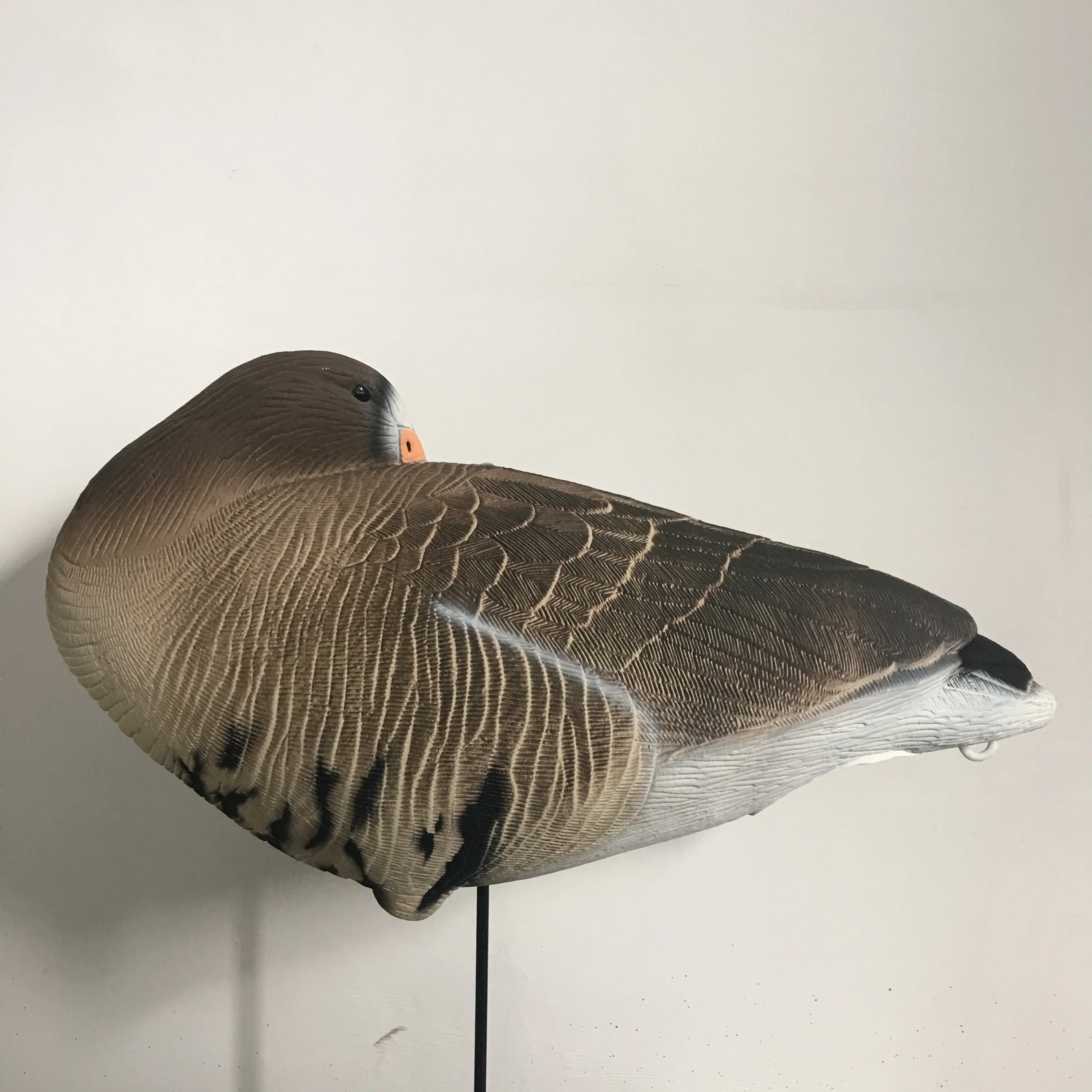 
Decoys for Hunting 