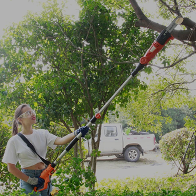 750W Pole Chain Saw With SDS function Auto lubricate soft grip handle  electric long pole chainsaw with aluminum telescopic tube
