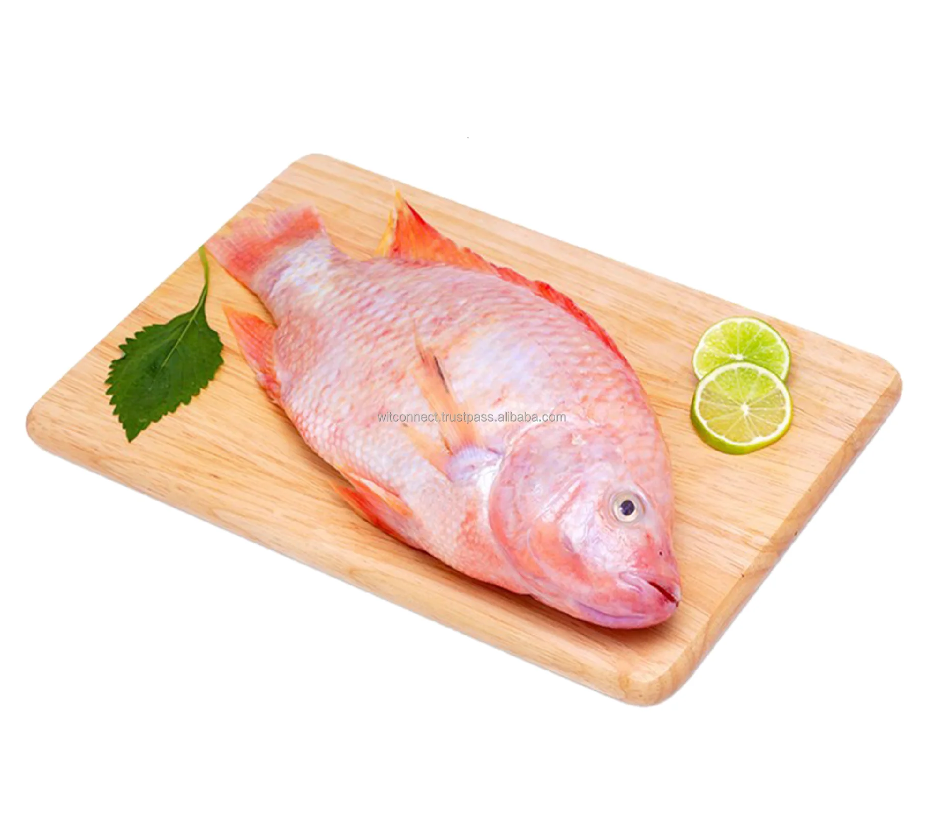 Premium Vietnamese seafood frozen red tilapia fish red tilapia are feed in Mekong Delta No harmful chemicals