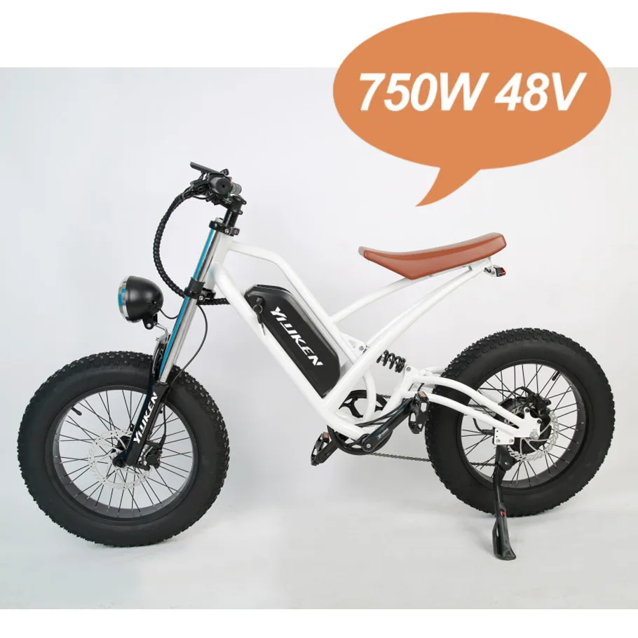 100km dual battery 13/26Ah 350/1000w cross country emtb 20 inch wide tyre electric bike hybrid e bike