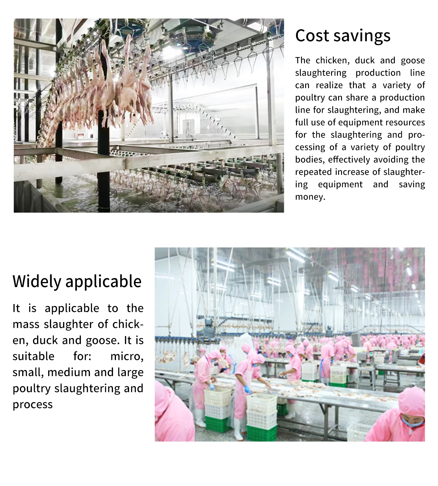 Chicken Slaughtering Automatic Production Line For Slaughterhou Poultry slaughtering  poultry food machine making machine