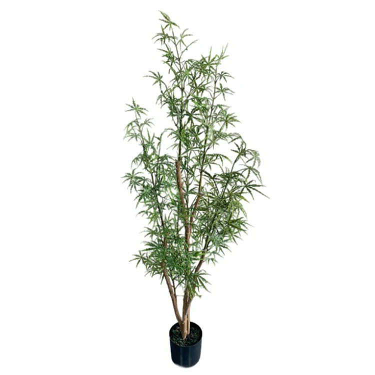 Real Touch 160cm High Dizygotheca Elegantissima Plant Tree Maceta Planta Artificial for Drawing Room Decor Arboles Trees
