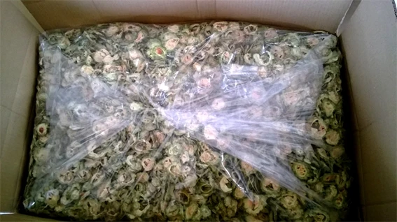 Оптовая продажа сушеная горькая дыня/ломтики Горькая тыква/горькая дыня питание от Viet Nam