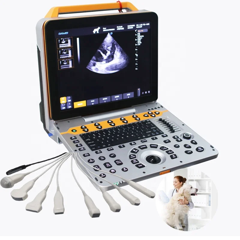 Dawei Dog Cat Cow Sheep Vet Diagnostic Equipment Veterinary Scanner For Animals 4d Ultrasound