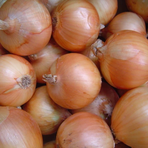 New Season Fresh Chinese Vegetables Red Yellow Onion Price Per Ton For Onion Buyer
