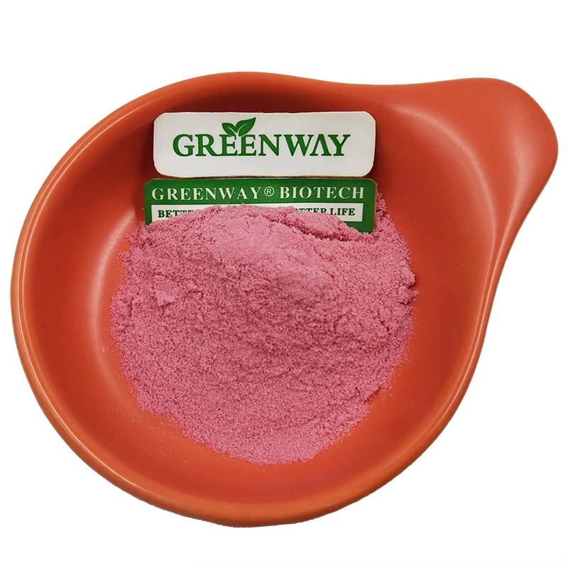 Factory Supply Top Quality Acerola Cherry Fruit Powder Vitamin C Malpighia Glabra Barbados Cherry Extract Organic Acerola Powder