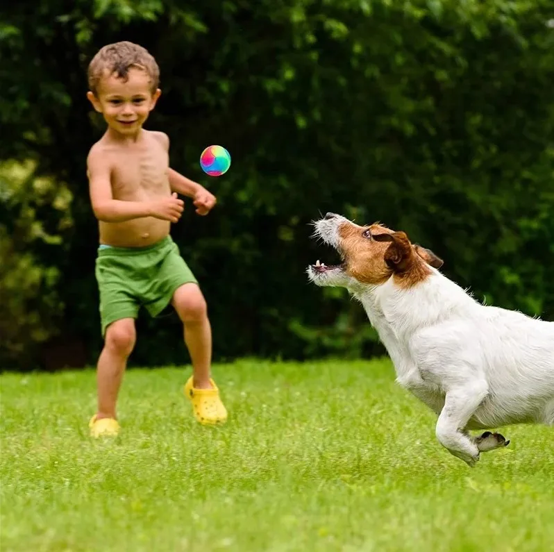 Led Flashing Elastic Toy Ball Molar Teeth Cleaning Bouncing Pet Ball Self Rotating Ball Smart Led Cat Toy