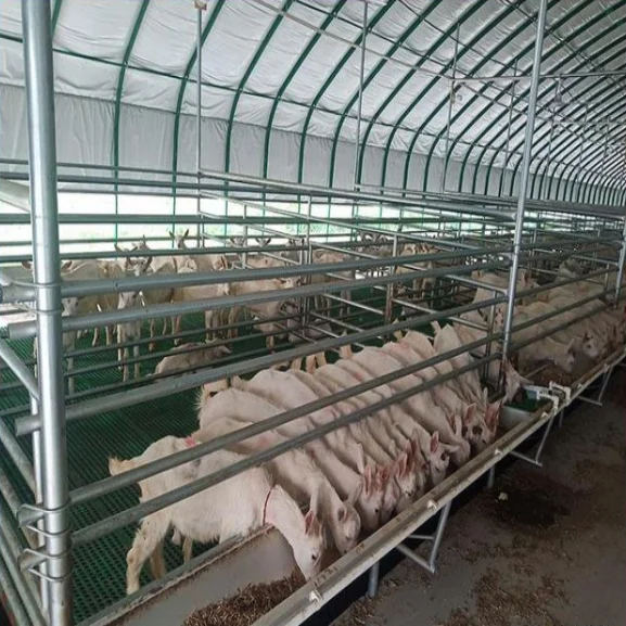 Detachable prefabricated steel structure goat farm sheep barn farming design shed house