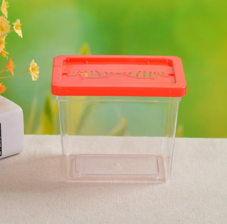 Transparent Mini goldfish tank small size resin Aquarium plastic insect box