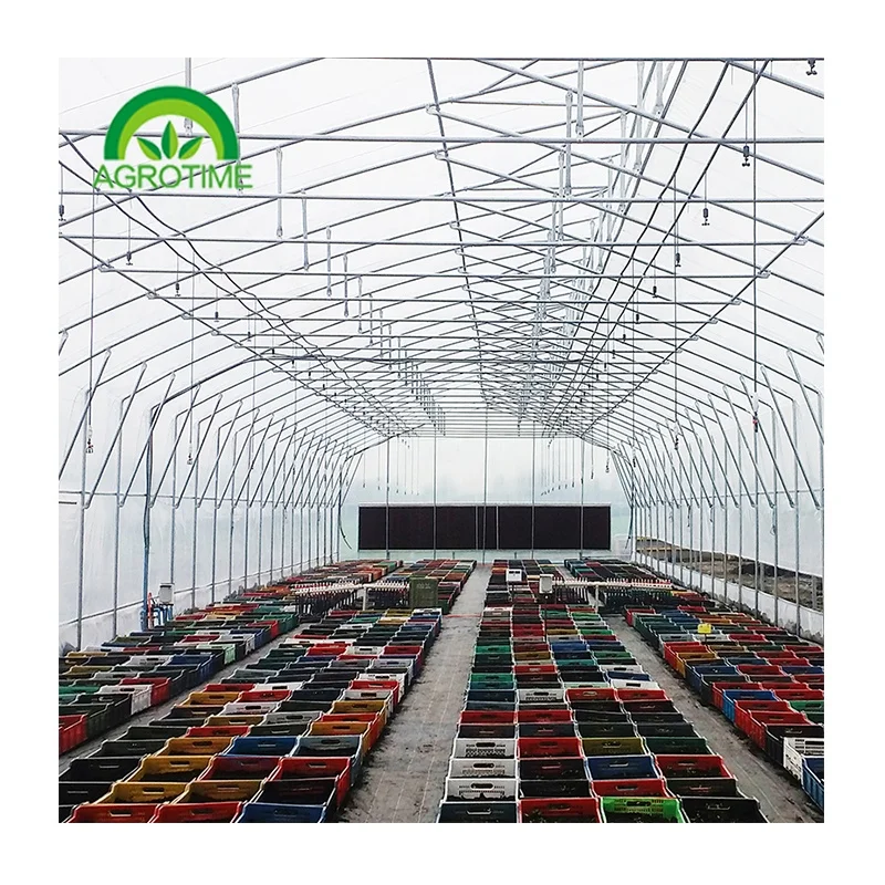 Economical hoop house tunnel greenhouse by top quality materials cheap greenhouse