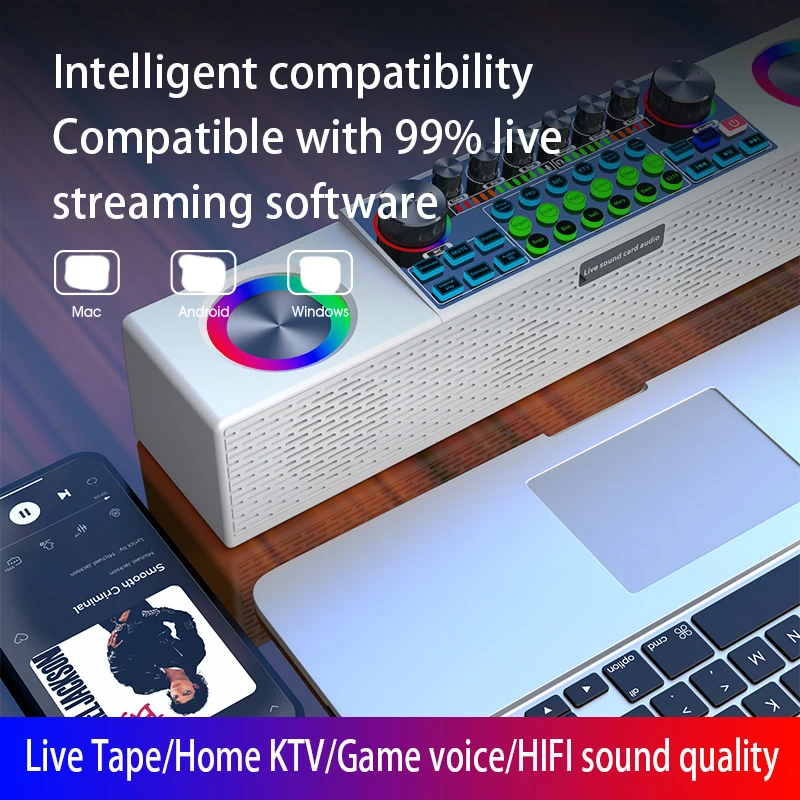 SY6 Portable Professional Wireless BT Speaker with 2 Microphones Sound Card integrated machine for Family Karaoke Singing Party