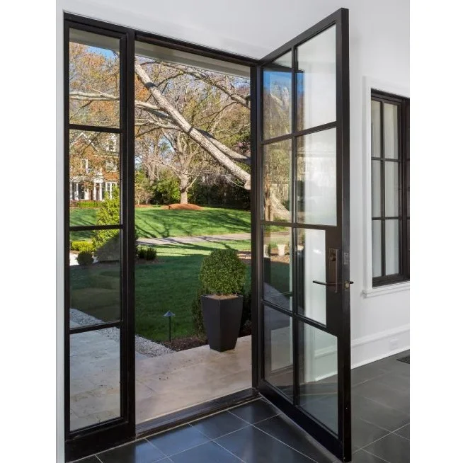 Wholesale matte black commercial double glaze interior french iron steel door with grid