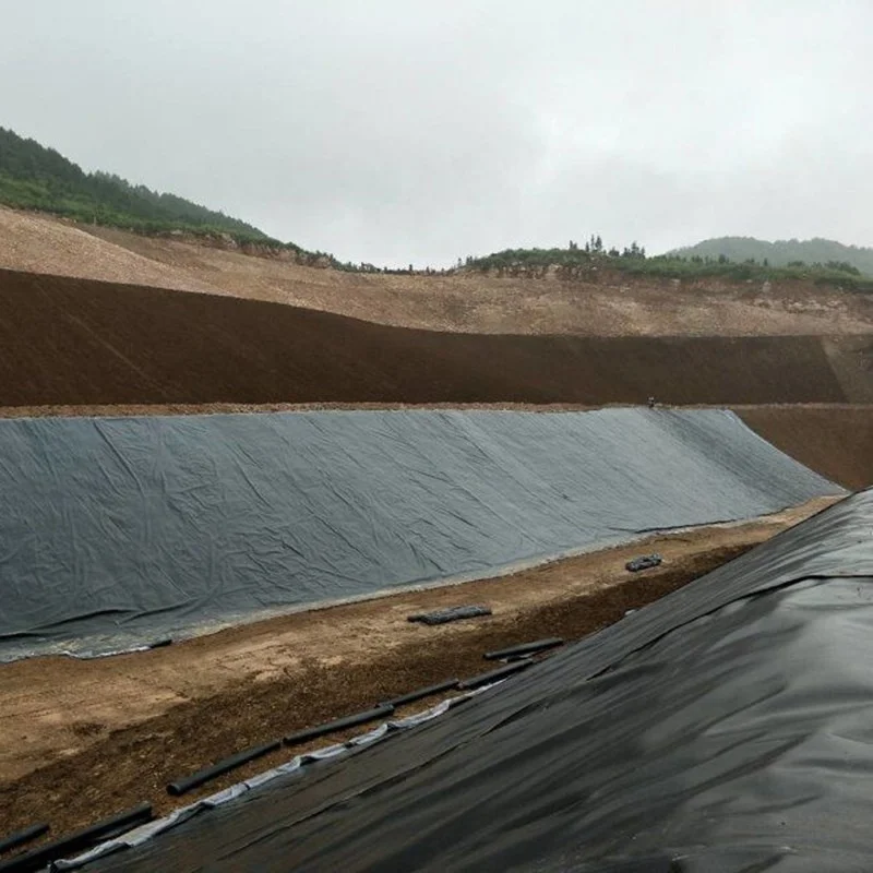 China Fish Farm Pond Liner HDPE Geomembrane Wholesale Price