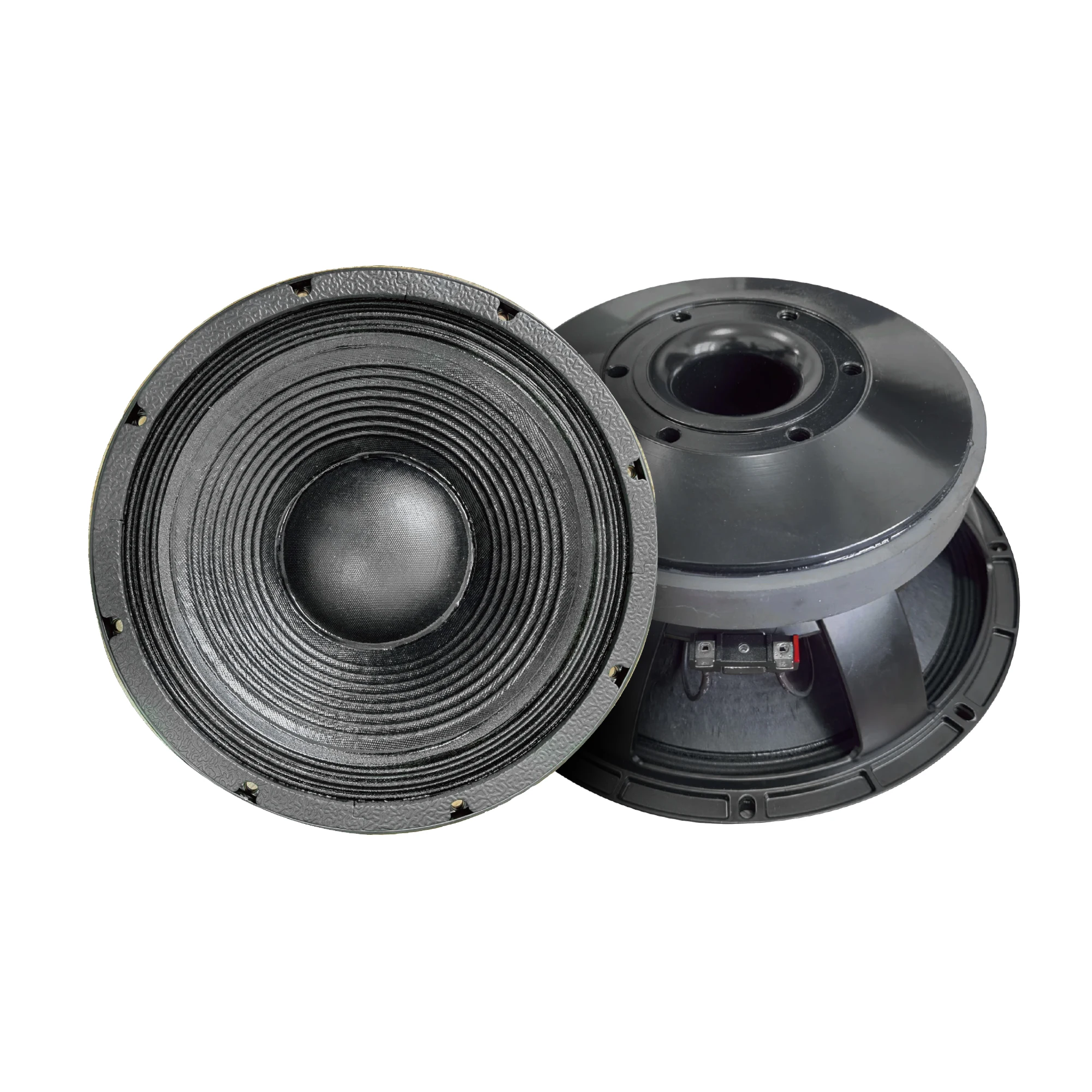 Accuracy Pro Audio 12BCM100 10 Inch Professional Woofer Can be paired with Wooden Speakers Line Array Speakers