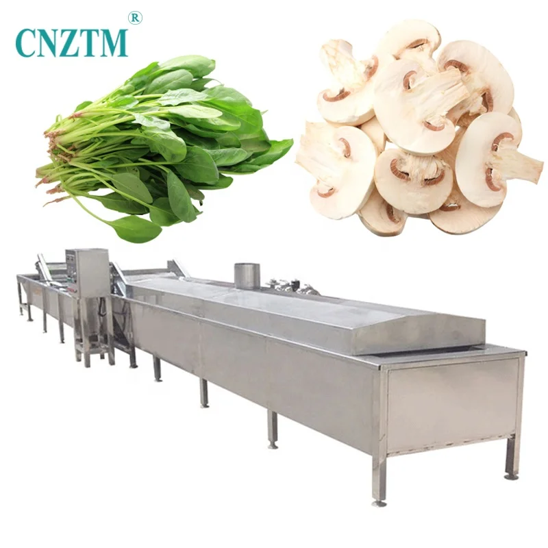 Automatic Chicken Blanched Fruit And Vegetable Onion Broccoli Corn Peanut Ginger Pea Potato Continuous Steam Blanching Machine