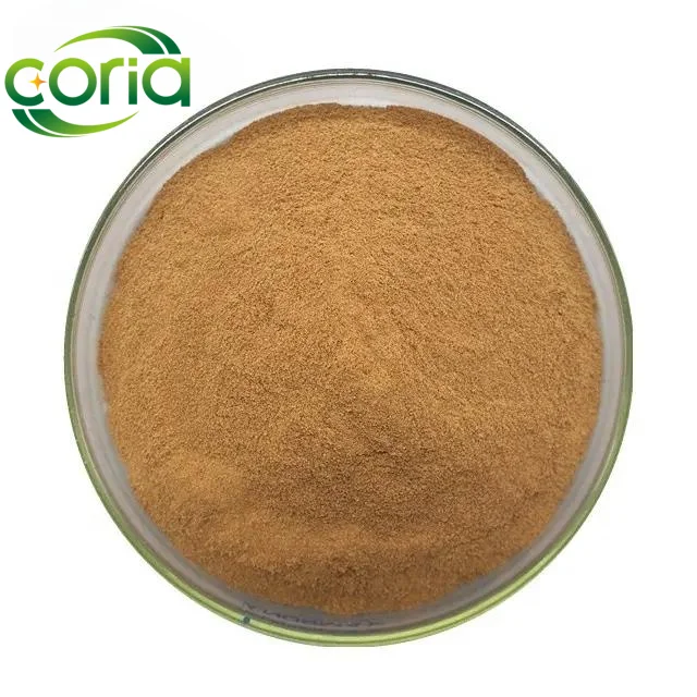 Natural African Plum Tree Extract African Prune Extract African Pygeum Extract