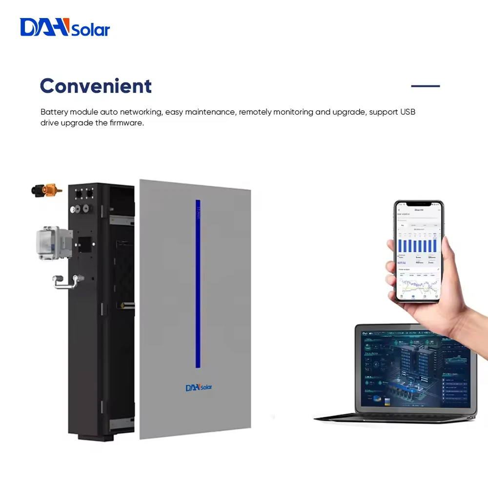 Deye Battery RW-M6.1 51.2V 120AH 6.14KWH Wall Mount Deye Lithium Battery 6000 Cycles DOD