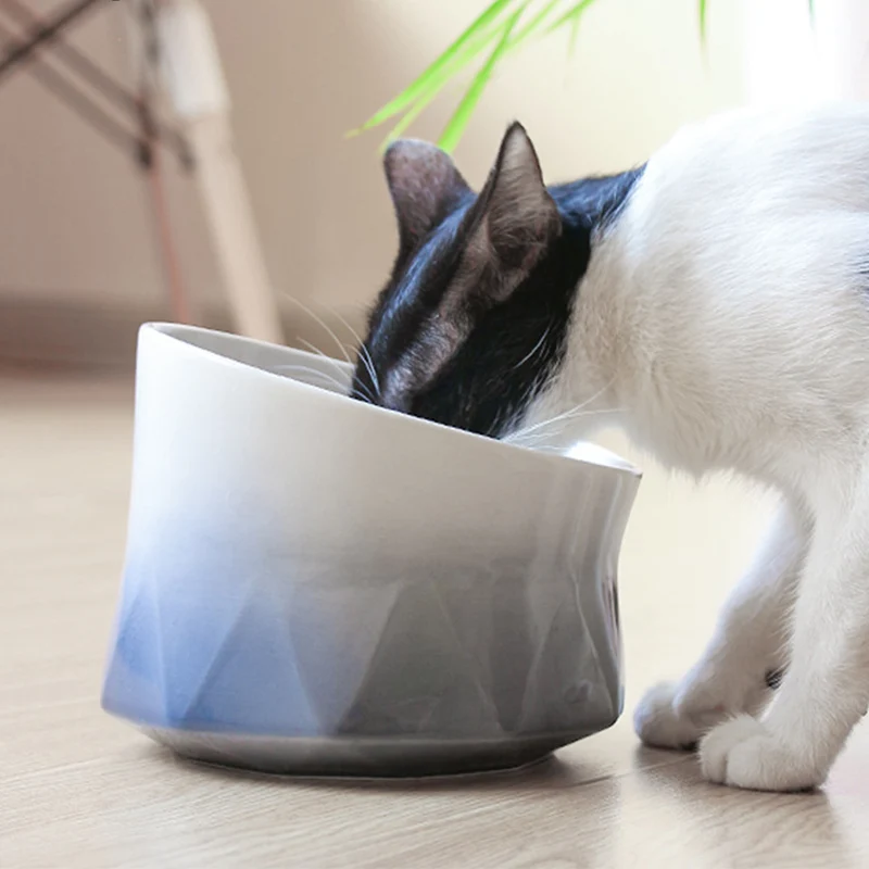 
Luxury Fashion European Style Non-Slip Porcelain Pet Ceramic Cuenco Para Mascotas Cat Bowl 