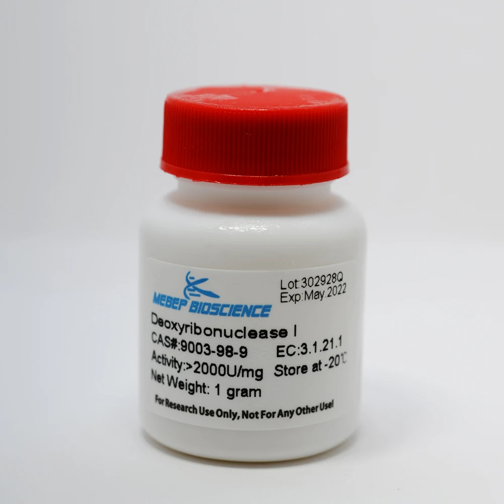 Лиофилизированный порошок DNase I, дезоксирибонуклеаза I