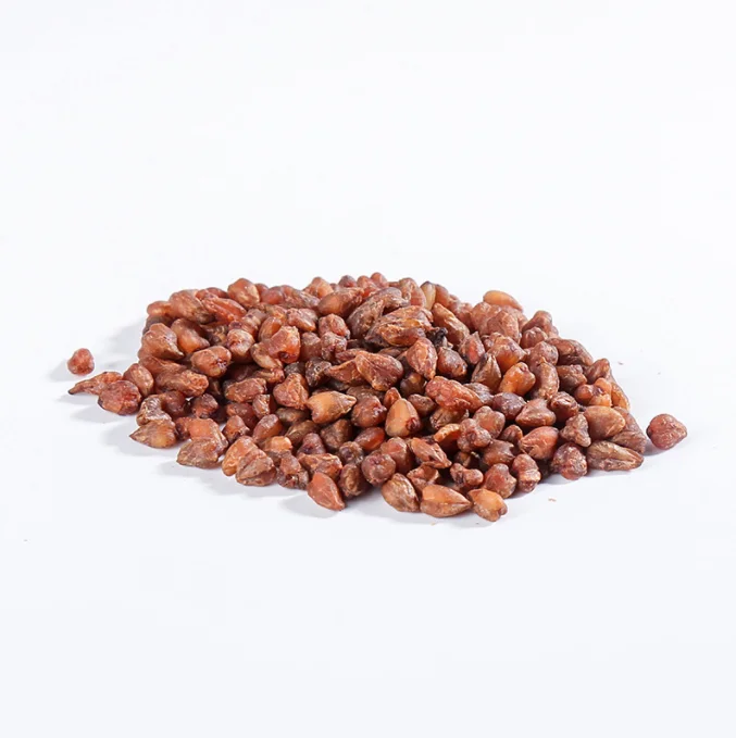 Wholesale Chinese Black bitter buckwheat For Health Tea High Quality Cheap Herbal Tea Black bitter buckwheat