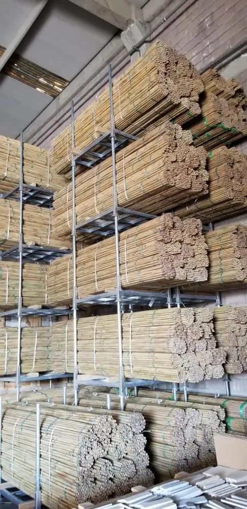 
Fast Shipping-BAMBOO POLES 300 CM (10FT) FOR ORNAMENTAL PLANTS 