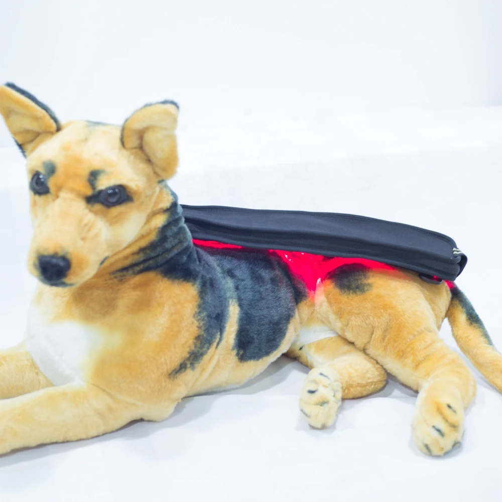 Portable Pain Treatment Factory Offer Laser Therapy Veterinary Rehabilitation Equipment for Injuries, Trauma, Wounds Healing