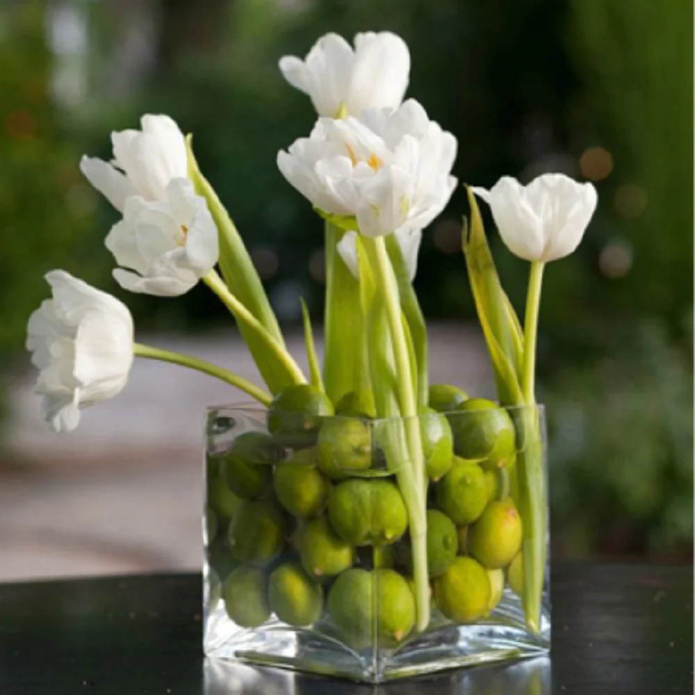 Aeofa Transparent square Vase ornament of glass hydroponic container square glass vase