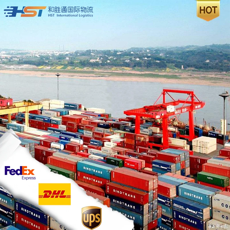 Logistics Company International Freight Forwarder China to Vietnam Maldives ID/Malaysia Air Cargo Express DDP Service Pick-up