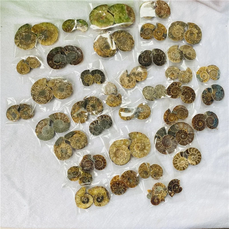 Wholesale Natural Small Size Druzy Geode Shell Snail Ammonite Fossil Pendant For Healing