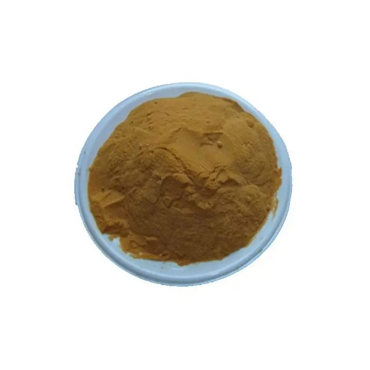 Finest Price Eco-Friendly Dong Quai Root Dang Gui Angelica Sinensis Extract