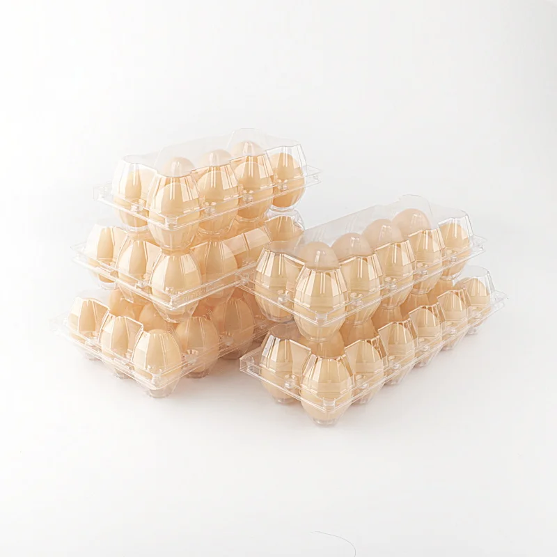 disposable pet egg trays with cover hot sale quail egg packaging tray/box/carton