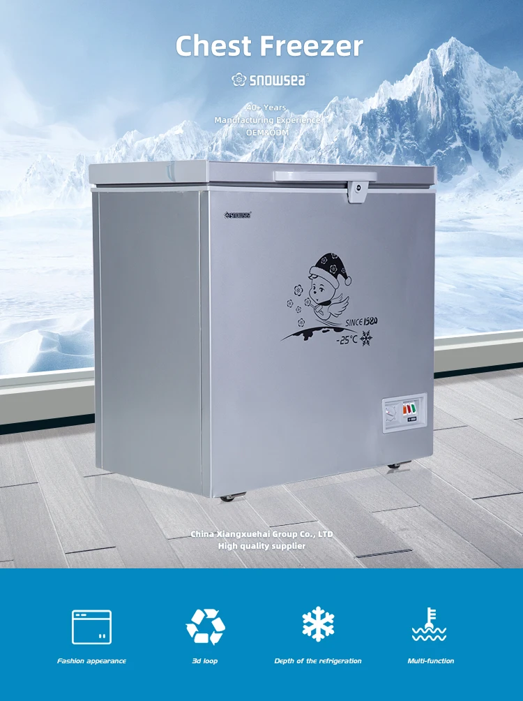 BD-178 Snowsea Commercial Refrigerator Deep Chest Freezer
