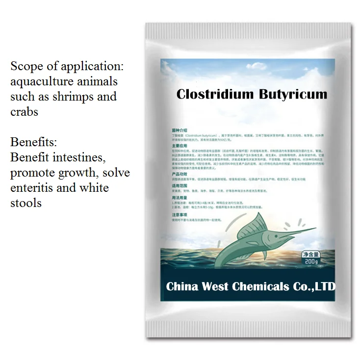 Aquaculture Fish Shrimp Purify Water Improve Water Quality Reduce Nitrite Clostridium Butyricum