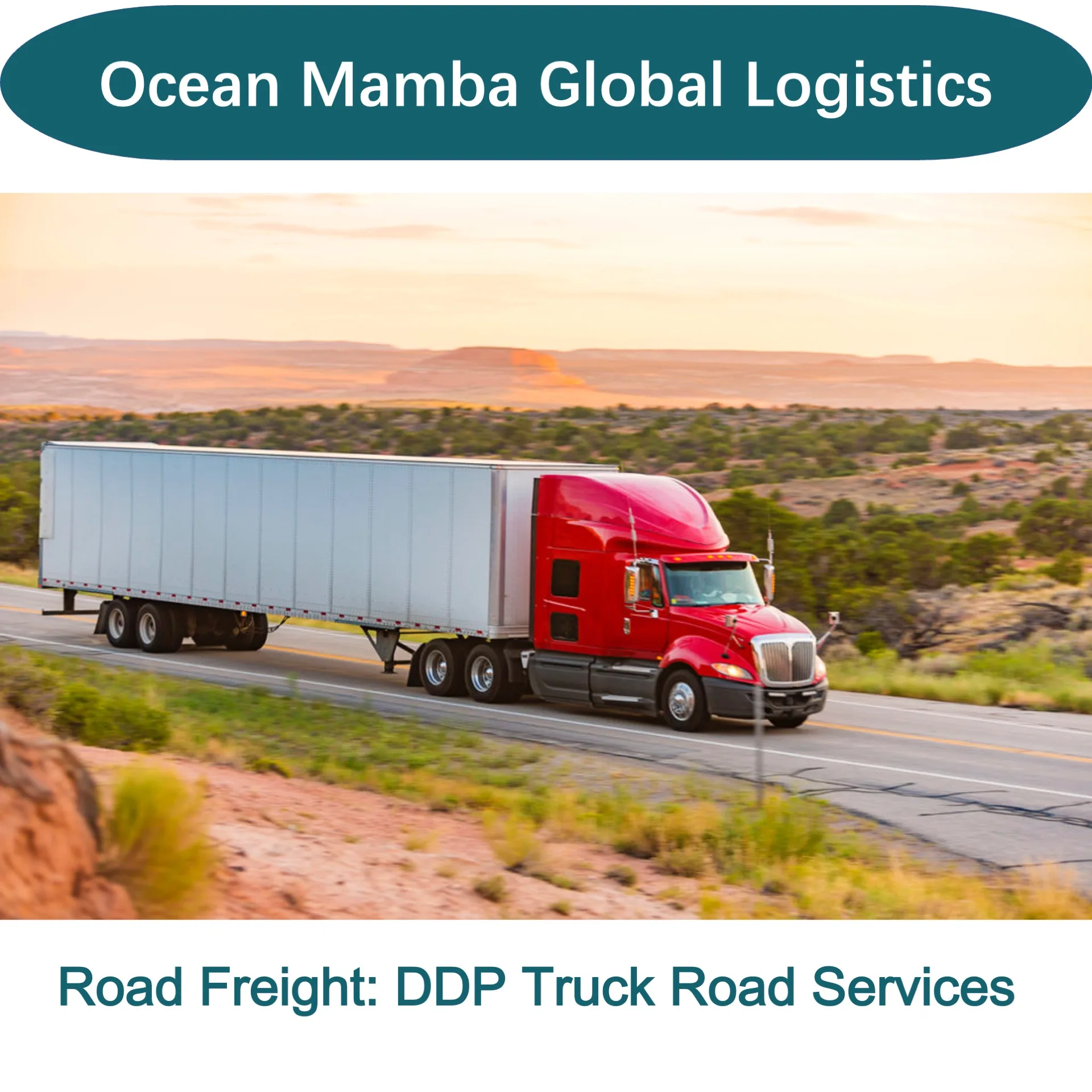 DDP Sea Freight Forwarder Fast Transportation With Truck/UPS Pick Up Service Best Price From China to USA