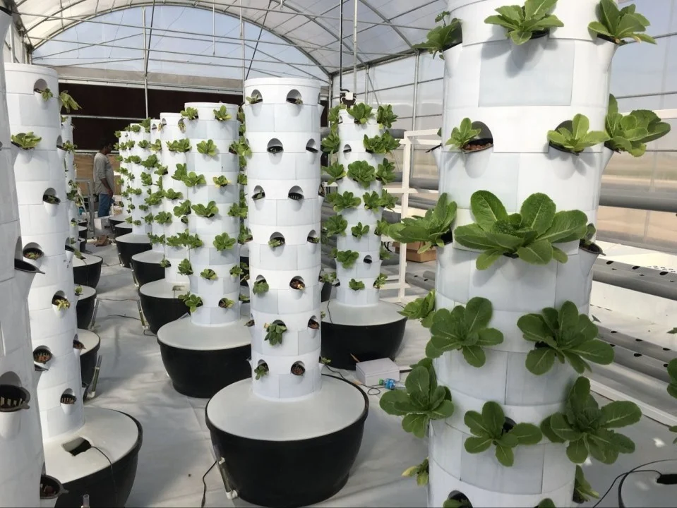 Cultivation Vertical Hydroponic Growing System Tower for Vegetables Strawberry