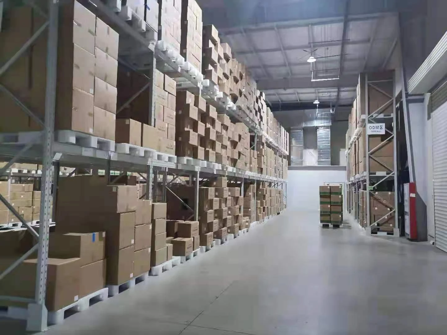 Freeze dried probiotics powder of Bifidobacterium longum for fermented dairy products alleviating gastrointestinal immunological