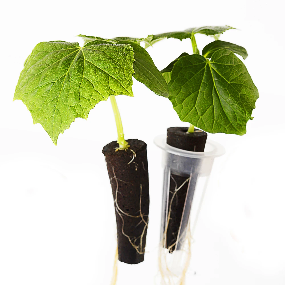 PH Balanced Root Growth Sponge Hydroponic Seed Introduction Pod Hydroponic Sponge Compatible Planter