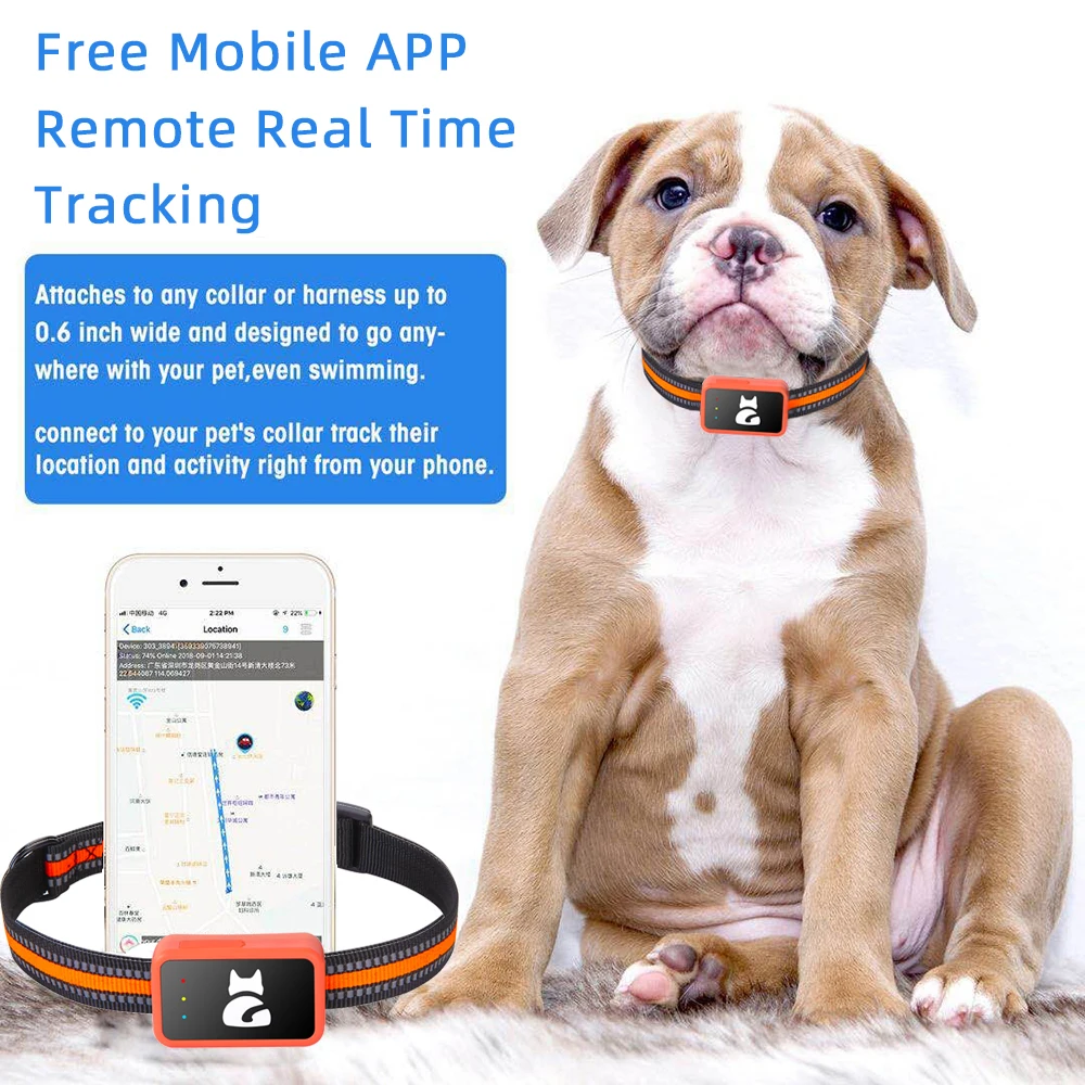 Factory OEM ODM G68P 4G Pet Dog Cat GPS Tracker Waterproof with Free APP Smart Collar Real Time Tracking Activity Monitoring Hot