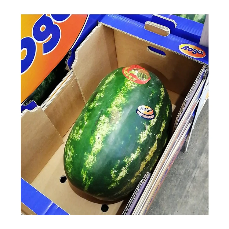 Italian Sicily Watermelon Fresh Fruit Watermelon