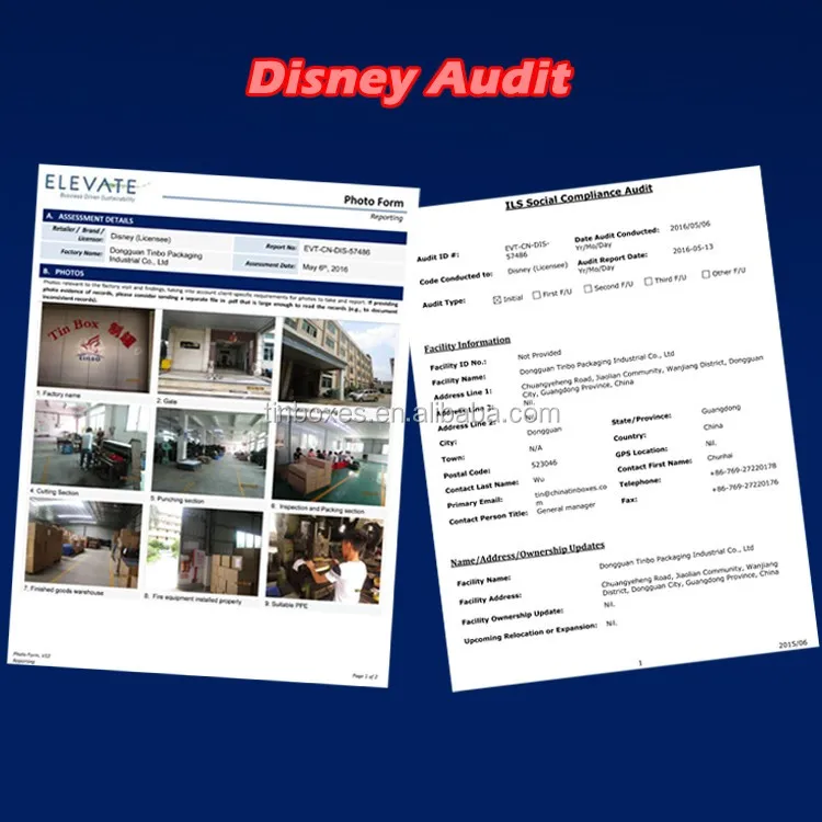 Disney Audit