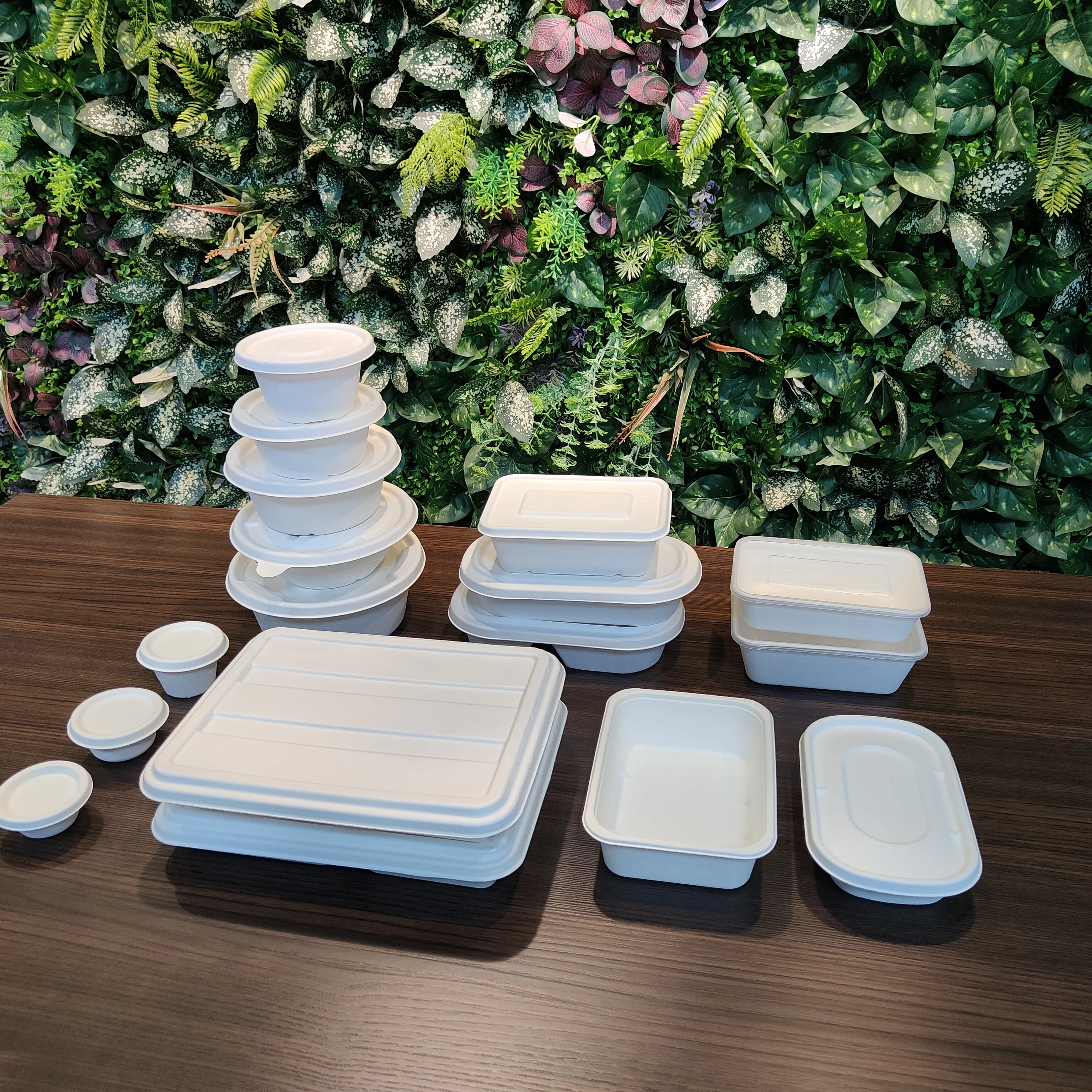 Disposable bagasse food container paper pulp, cups, plates, and clamshell are all products of Eco-friendly food packaging.
