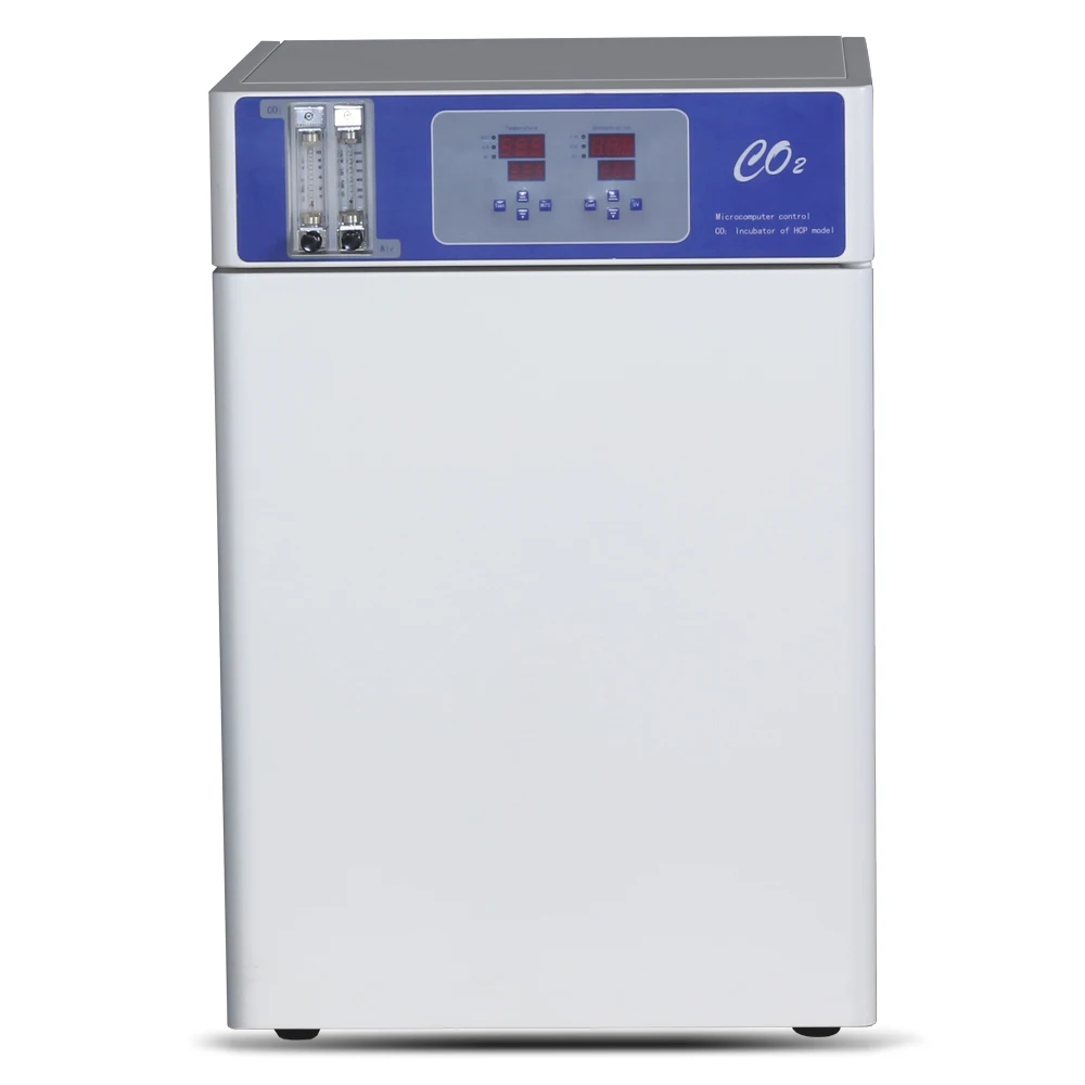 Medical Bacteria Laboratory Electrical CO2 Gas Incubator